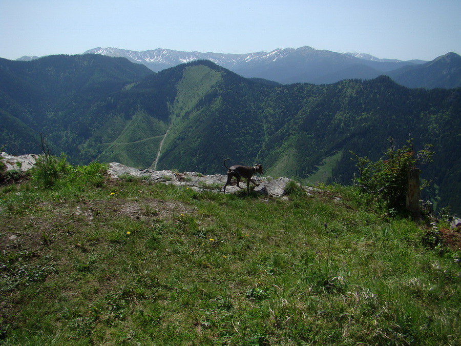 Poludnica z Iľanova (Nízke Tatry)