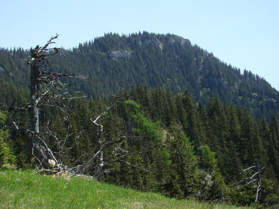 Poludnica z Iľanova (Nízke Tatry)