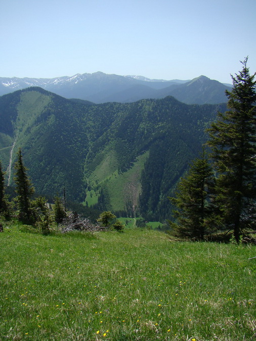 Poludnica z Iľanova (Nízke Tatry)