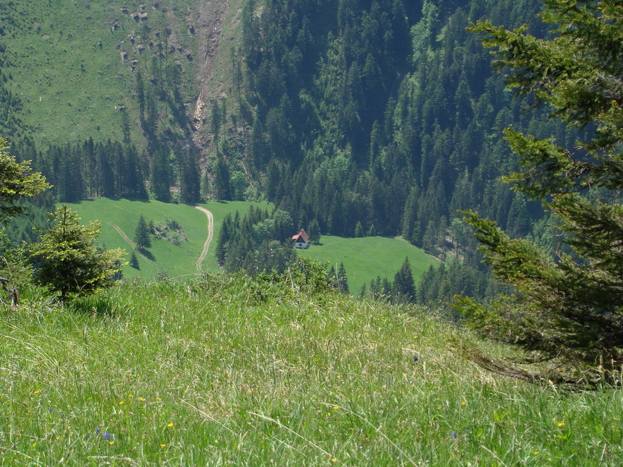 Poludnica z Iľanova (Nízke Tatry)