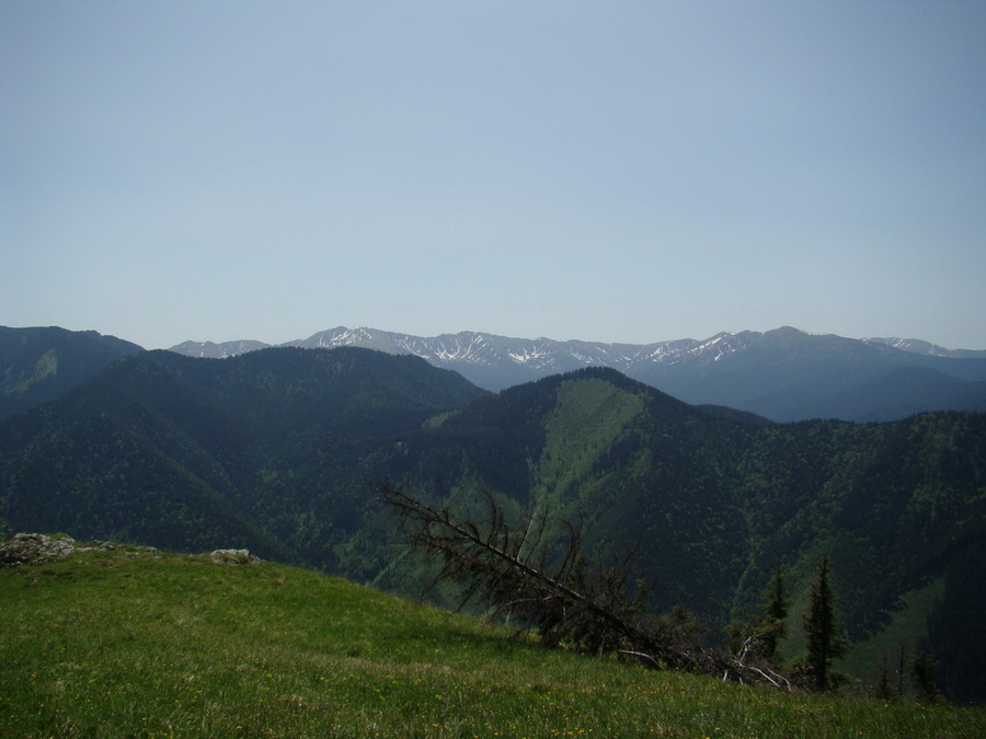 Poludnica z Iľanova (Nízke Tatry)