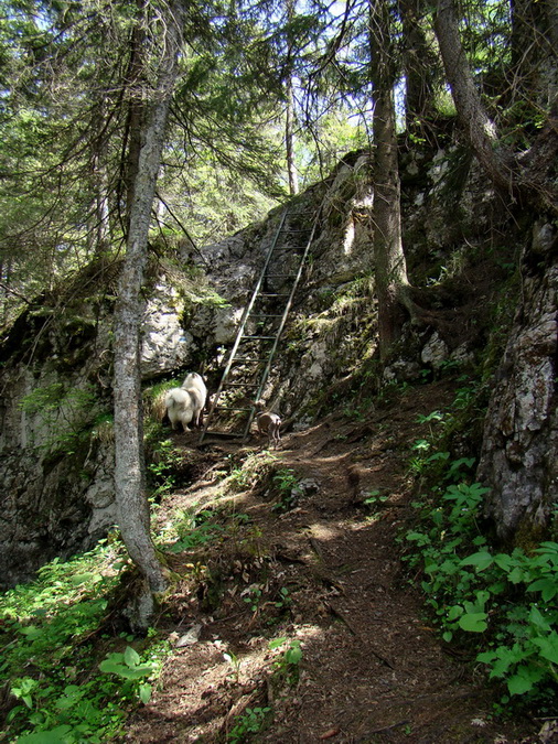 Poludnica z Iľanova (Nízke Tatry)