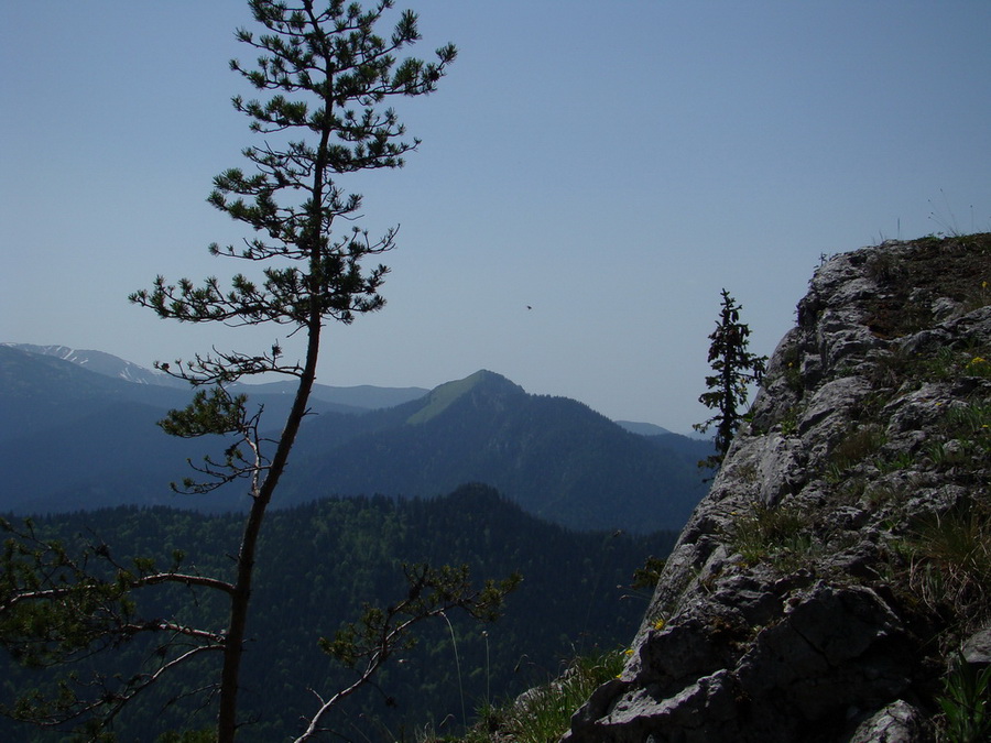 Poludnica z Iľanova (Nízke Tatry)