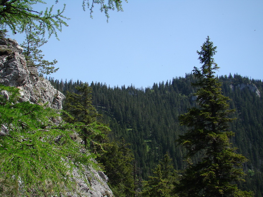 Poludnica z Iľanova (Nízke Tatry)