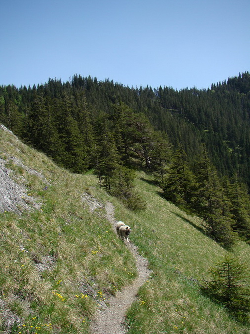 Poludnica z Iľanova (Nízke Tatry)