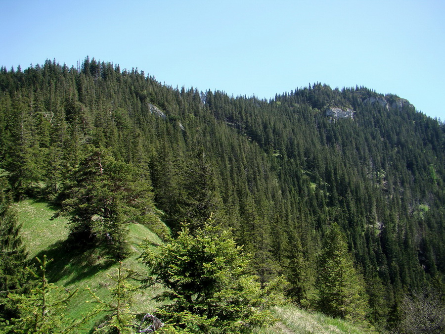 Poludnica z Iľanova (Nízke Tatry)