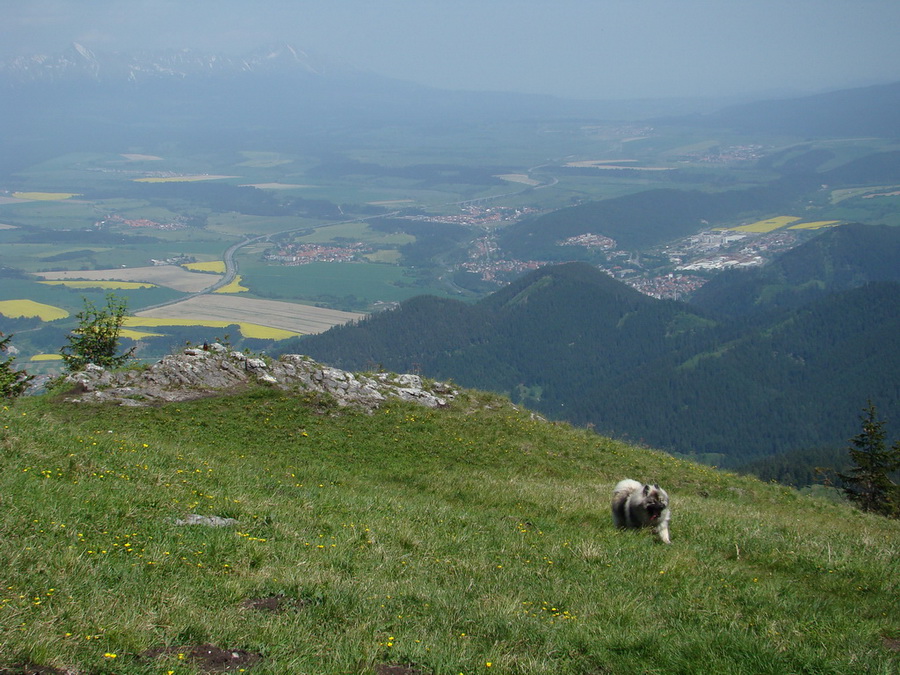 Poludnica z Iľanova (Nízke Tatry)