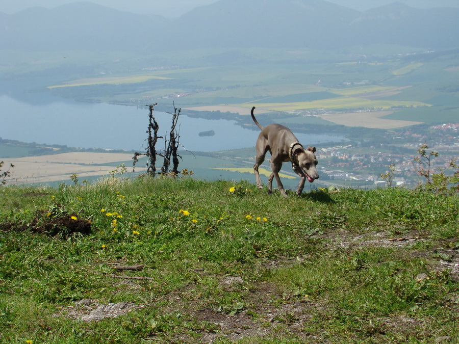 Poludnica z Iľanova (Nízke Tatry)