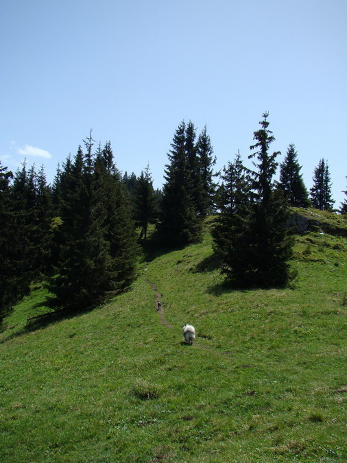 Poludnica z Iľanova (Nízke Tatry)