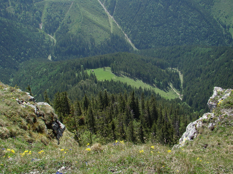 Poludnica z Iľanova (Nízke Tatry)