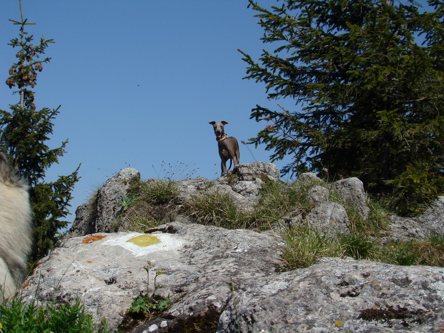 Poludnica z Iľanova (Nízke Tatry)