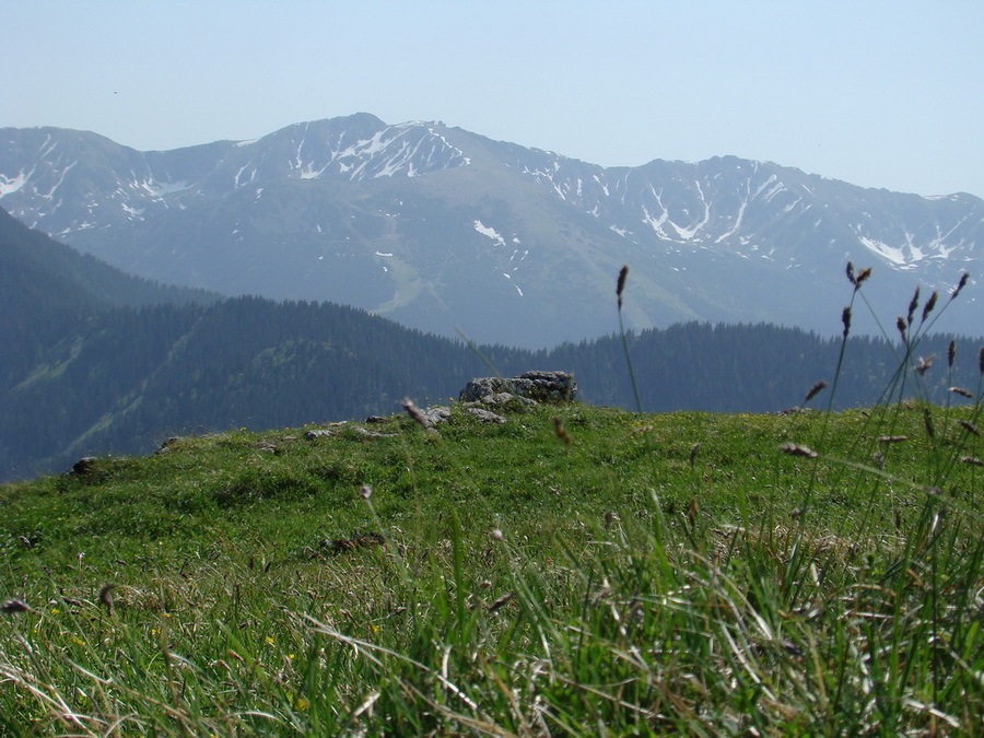 Poludnica z Iľanova (Nízke Tatry)