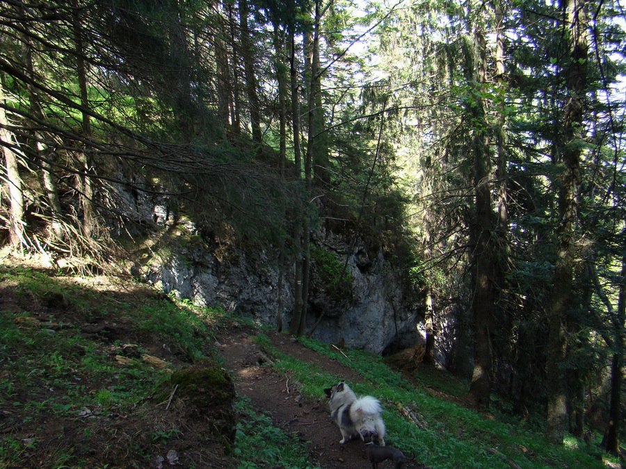 Poludnica z Iľanova (Nízke Tatry)