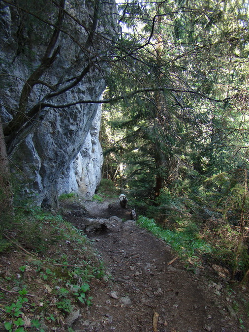 Poludnica z Iľanova (Nízke Tatry)