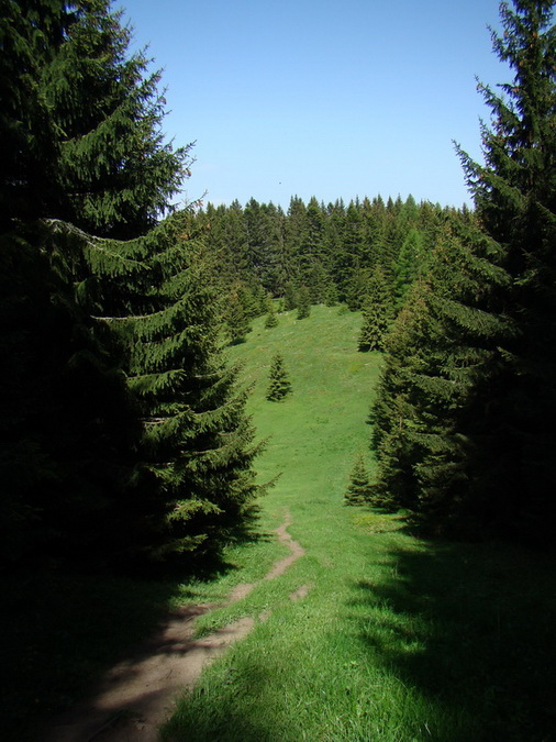 Poludnica z Iľanova (Nízke Tatry)