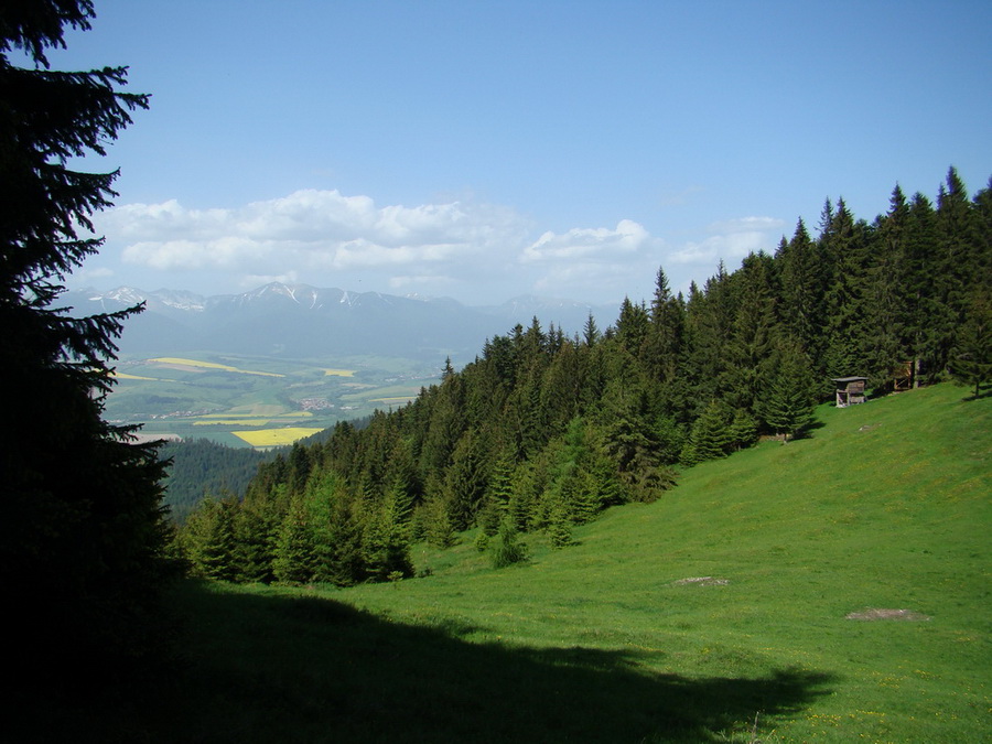 Poludnica z Iľanova (Nízke Tatry)