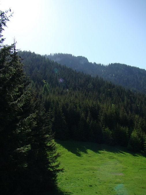 Poludnica z Iľanova (Nízke Tatry)