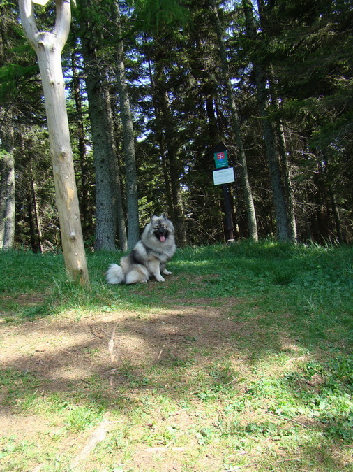 Poludnica z Iľanova (Nízke Tatry)