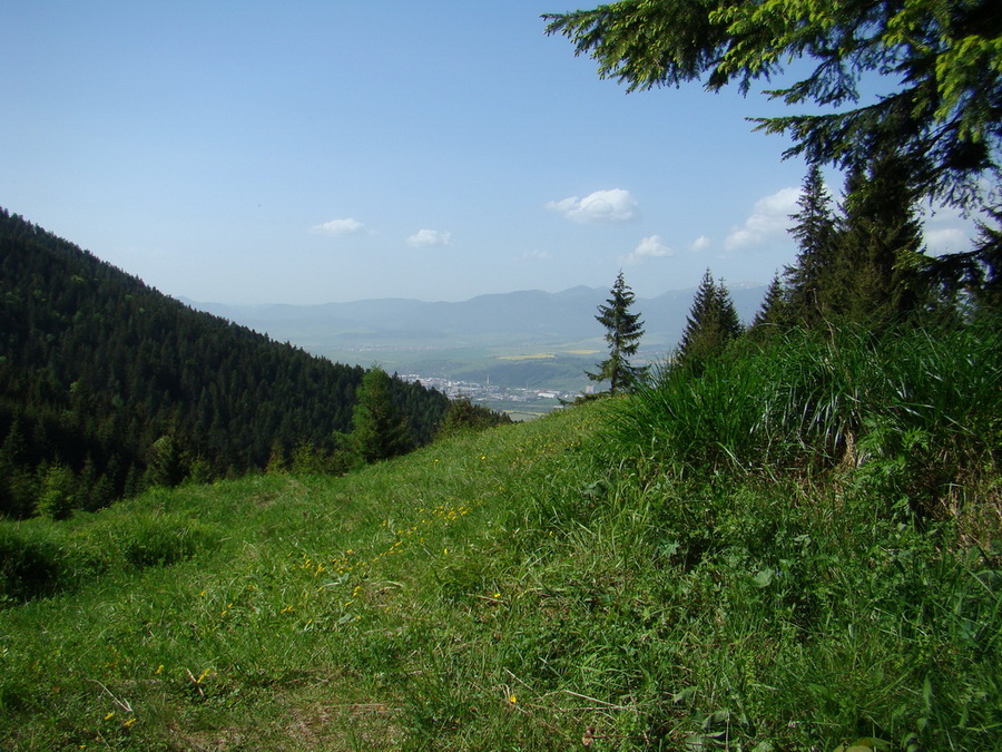 Poludnica z Iľanova (Nízke Tatry)