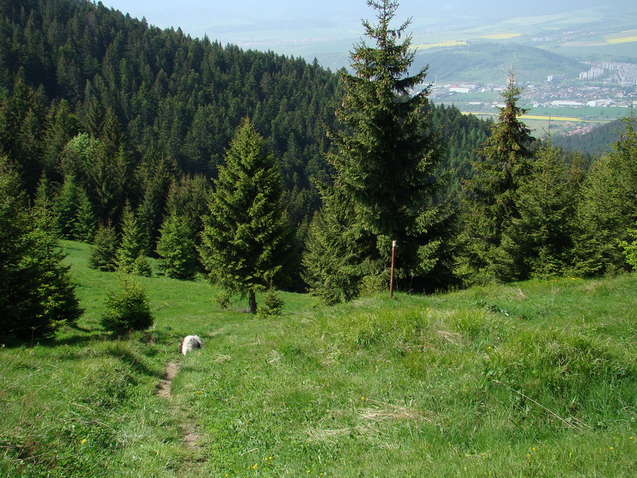 Poludnica z Iľanova (Nízke Tatry)