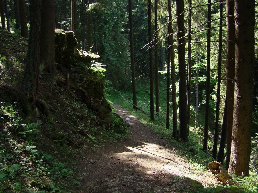 Poludnica z Iľanova (Nízke Tatry)