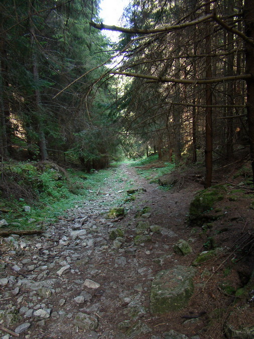 Poludnica z Iľanova (Nízke Tatry)