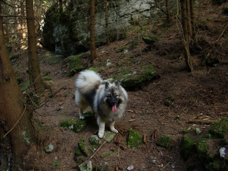 Poludnica z Iľanova (Nízke Tatry)