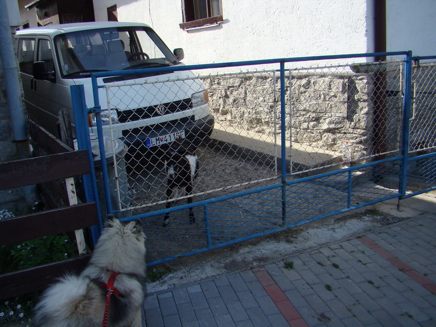 Poludnica z Iľanova (Nízke Tatry)