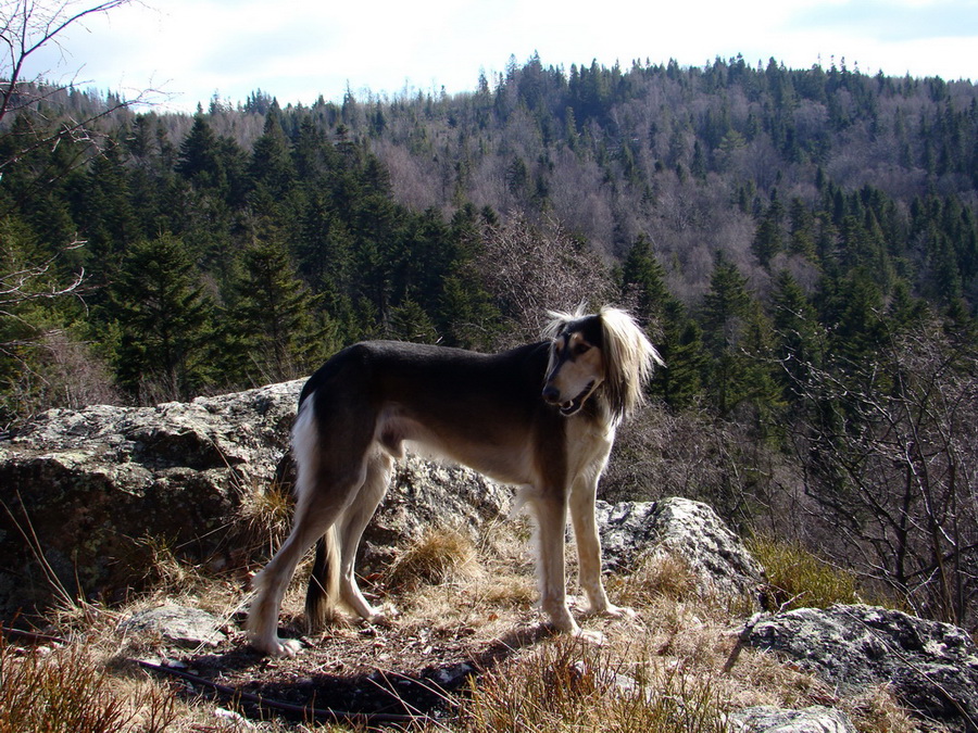 Roháčka (Čierna hora)