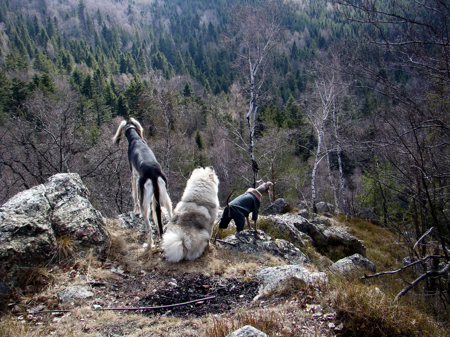 Roháčka (Čierna hora)