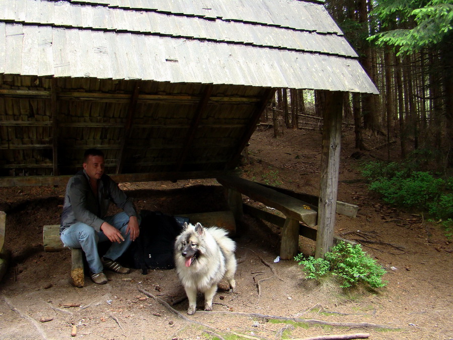 Rovná hoľa (Nízke Tatry)