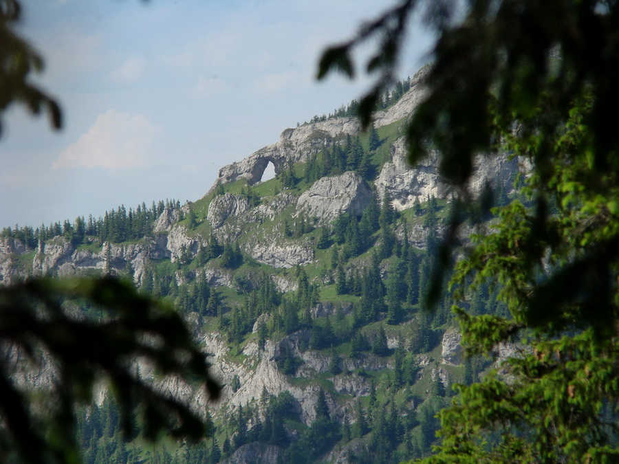 Rovná hoľa (Nízke Tatry)