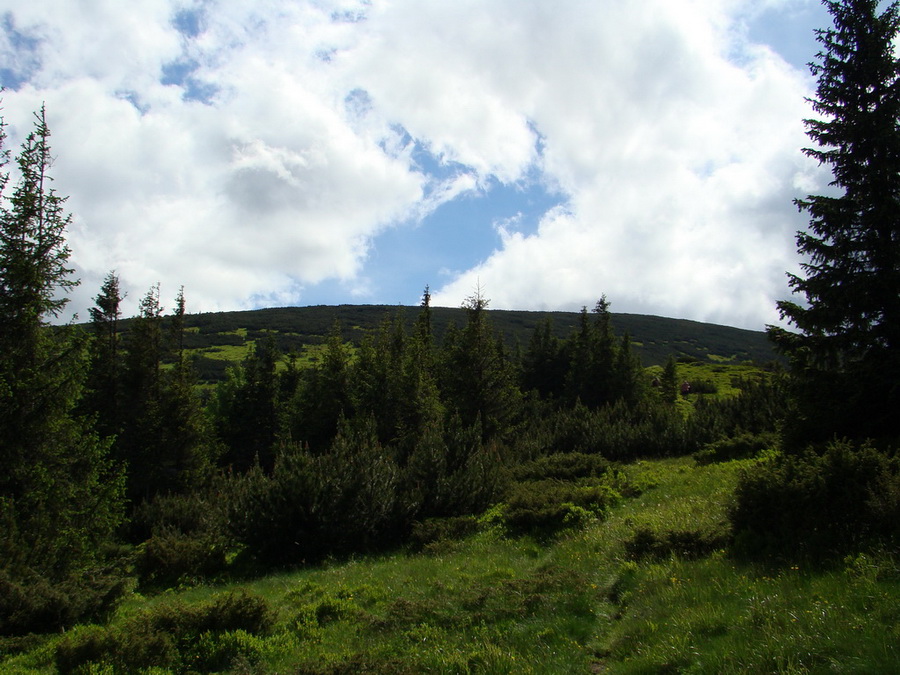 Rovná hoľa (Nízke Tatry)