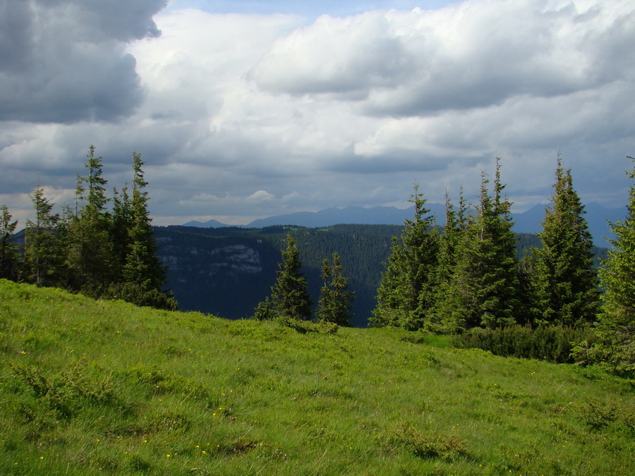 Rovná hoľa (Nízke Tatry)