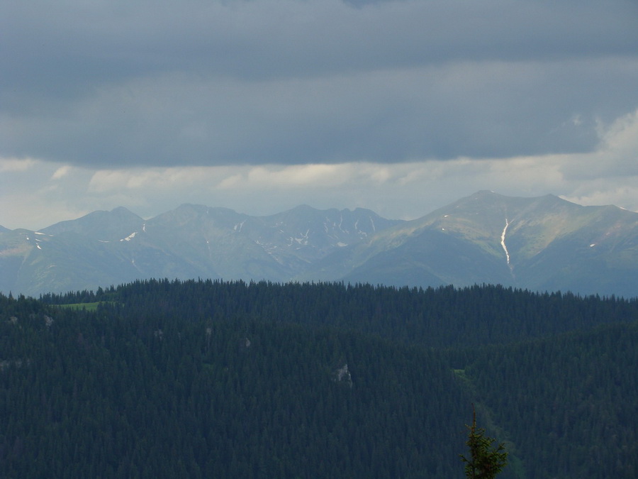 Rovná hoľa (Nízke Tatry)