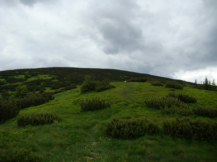 Rovná hoľa (Nízke Tatry)