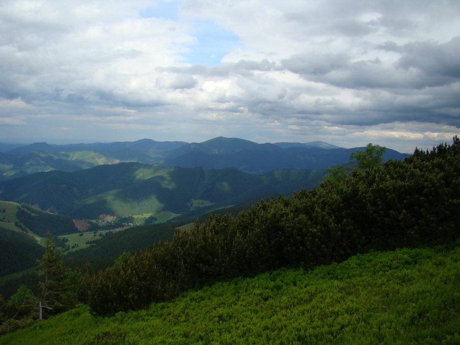 Rovná hoľa (Nízke Tatry)