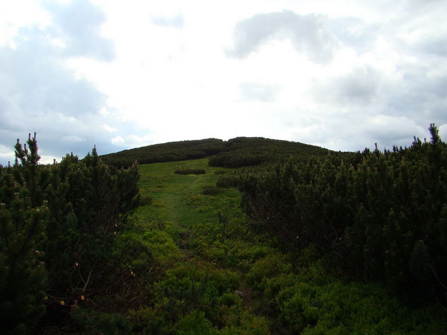 Rovná hoľa (Nízke Tatry)