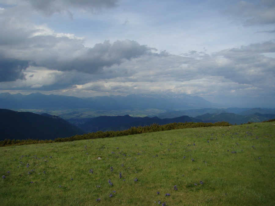 Rovná hoľa (Nízke Tatry)