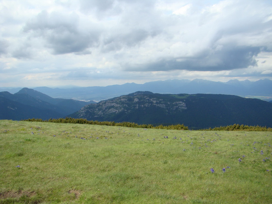 Rovná hoľa (Nízke Tatry)