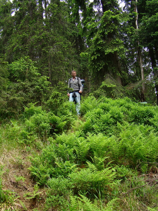 Rovná hoľa (Nízke Tatry)