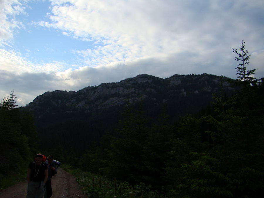 Rovná hoľa (Nízke Tatry)