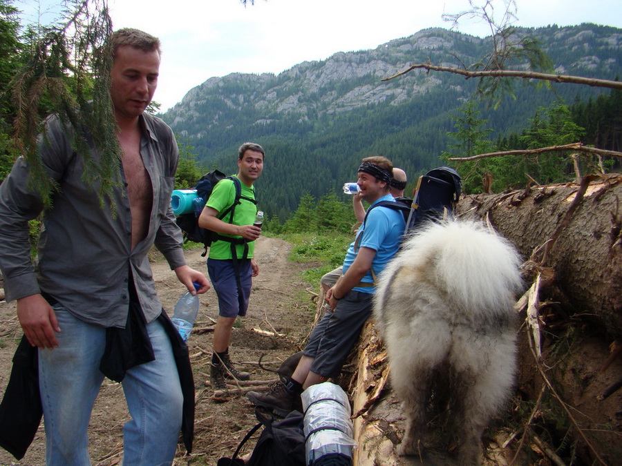 Rovná hoľa (Nízke Tatry)