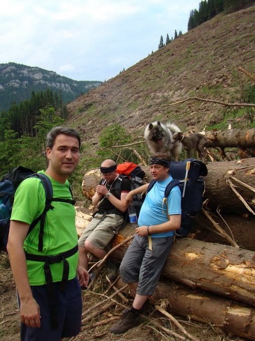 Rovná hoľa (Nízke Tatry)