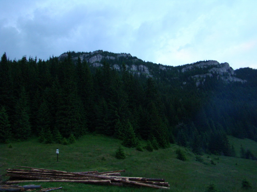 Rovná hoľa (Nízke Tatry)