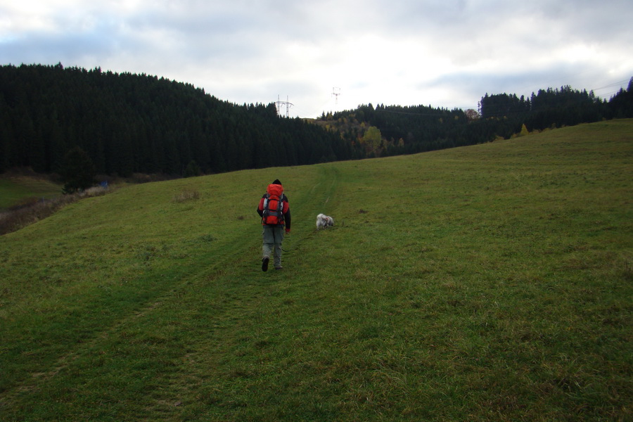 Salatín (Nízke Tatry)