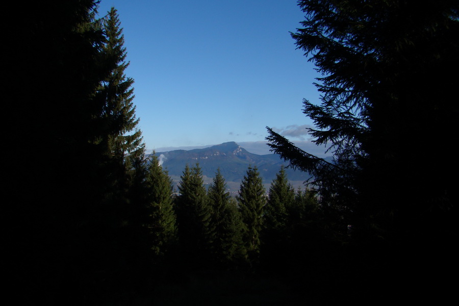 Salatín (Nízke Tatry)