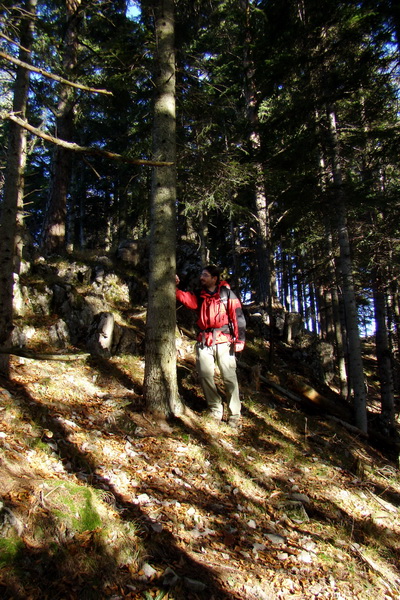 Salatín (Nízke Tatry)