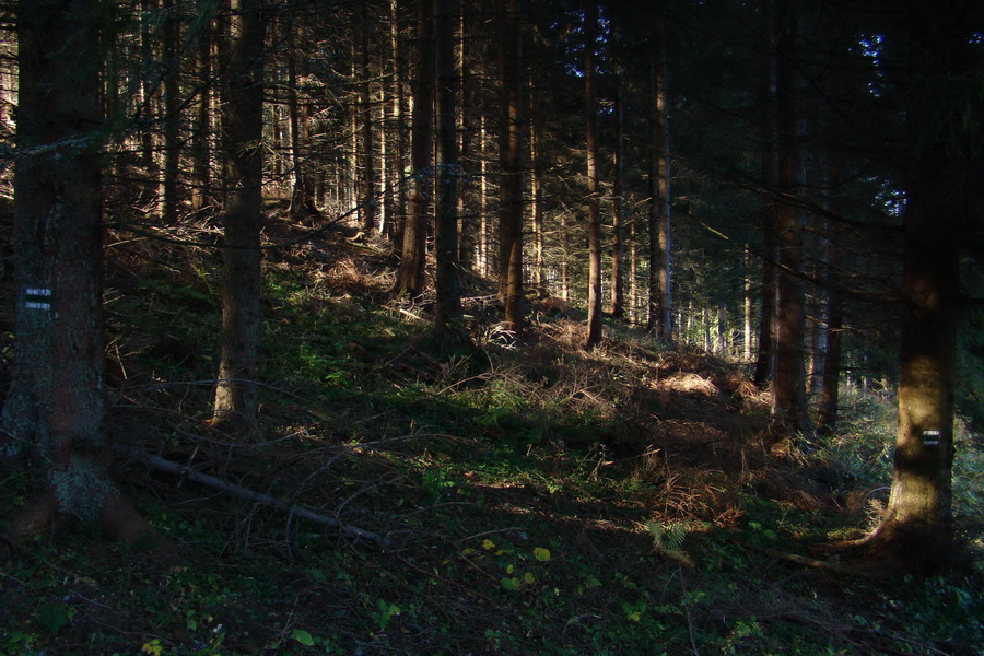 Salatín (Nízke Tatry)