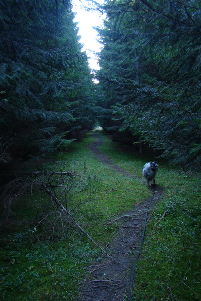 Salatín (Nízke Tatry)